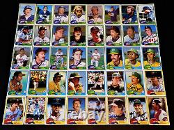 (260) AUTOGRAPHED 1981 TOPPS BASEBALL Card Starter Set Lot HOF Vintage'80s Auto