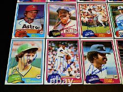 (260) AUTOGRAPHED 1981 TOPPS BASEBALL Card Starter Set Lot HOF Vintage'80s Auto