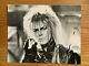 David Bowie Hand Signed In-person 6 X 7.5 Black And White Labyrinth Photo