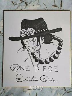 Hand drawn Eiichiro Oda ONE PIECE Shikishi Art Board autographed 2724 1119E