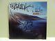 Incubus Morning View Cd, Hand Signed / Autographed / Autograph