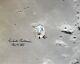 Michael Collins Apollo 11 Columbia Nasa Hand Signed 8 X 10 Photo Withcoa Mint