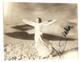 Marlene Dietrich Real Hand Signed Promo Photo #4 Jsa Coa Autographed Lola Lola