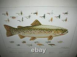 Rare Eldridge Hardie Print Cutthroat Trout And Flies Circa 1970, Hand Signed