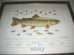 Rare Eldridge Hardie Print Cutthroat Trout And Flies Circa 1970, Hand Signed