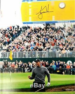 Tiger Woods Hand Signed Autograph 16X20 Photo Birdie at British Open UDA x/250