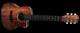 Guitare Signée à La Main Par Mike Kerr Et Ben Thatcher De Royal Blood
