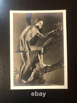 JOHNNY TARZAN WEISSMULLER Autographe Main Signé Vintage 1940's Photographie 7x5