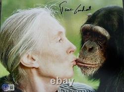 Jane Goodall Autographe signé en personne 10x8 Rare Beckett Bas Coa