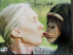 Jane Goodall Autographe signé en personne 10x8 Rare Beckett Bas Coa