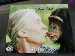 Jane Goodall Autographe signé en personne 10x8 Rare Beckett Bas Coa