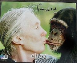 Jane Goodall Autographe signé en personne 10x8 Rare Beckett Bas Coa