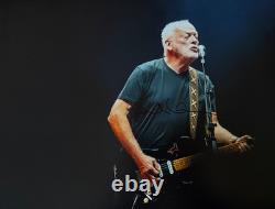 Photo 16x12 Signée à la Main par le Rock Star de Pink Floyd David Gilmour + COA Vérifié BIN