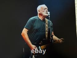 Photo 16x12 Signée à la Main par le Rock Star de Pink Floyd David Gilmour + COA Vérifié BIN