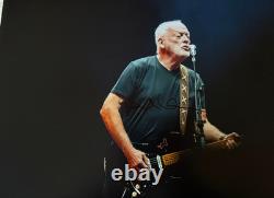 Photo 16x12 Signée à la Main par le Rock Star de Pink Floyd David Gilmour + COA Vérifié BIN