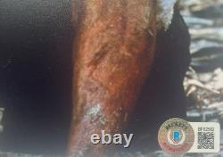 Photo 8x10 signée à la main par Tom Hanks, authentifiée par Beckett, acteur de 'Seul au monde'