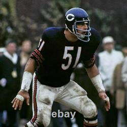 Photo de football 8x10 des Chicago Bears signée à la main et encadrée par Dick Butkus