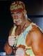 Photo Signée à La Main Par Hulk Hogan, Authentique, Autographe Avec Certificat D'authenticité Bas Beckett Inclus