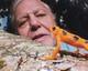Photographie 10x8 Signée à La Main De David Attenborough, Naturaliste, Animateur, Autographe