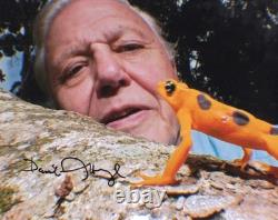 Photographie 10x8 Signée à la Main de David Attenborough, Naturaliste, Animateur, Autographe