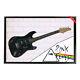 Rose Floyd Signé À La Main Framed Full Size Stratocaster Guitar Gilmour Waters Mason