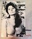 Sophia Loren Signé À La Main Autographe 12x18 Affiche De Photo Sexy Actrice Psa/dna Coa